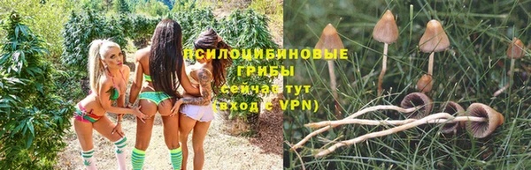 ешки Алзамай