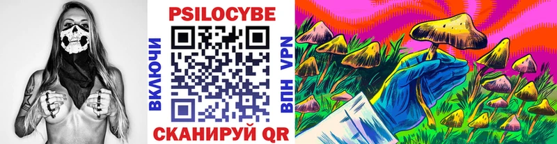 blacksprut ТОР  Уварово  Псилоцибиновые грибы Psilocybine cubensis 